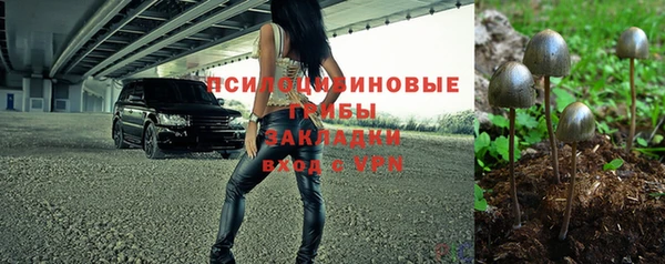 крисы Алексеевка