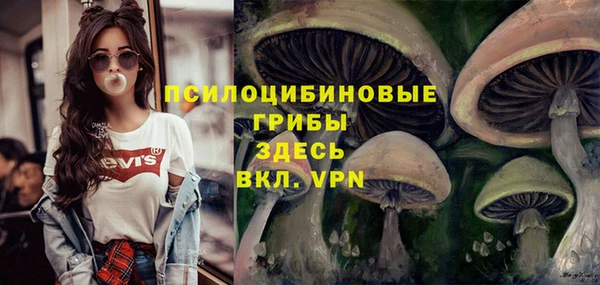 дурь Алексин