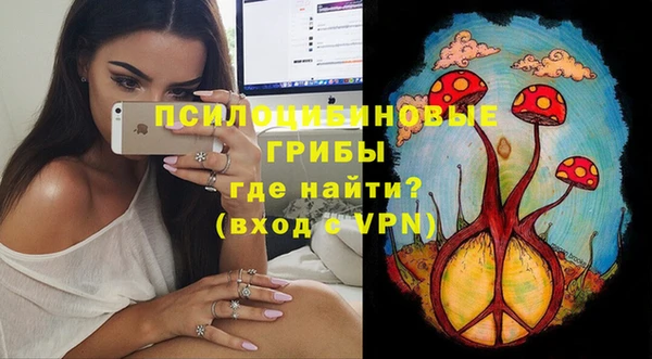 крисы Алексеевка