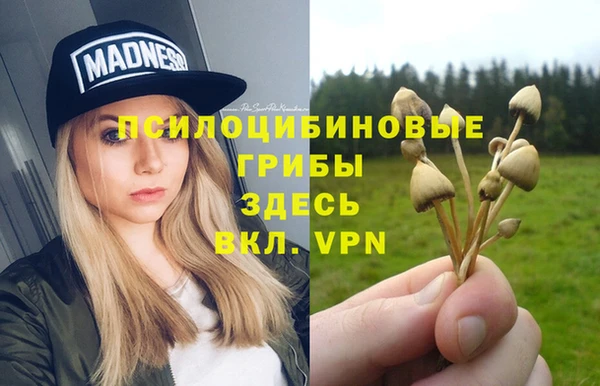 дурь Алексин