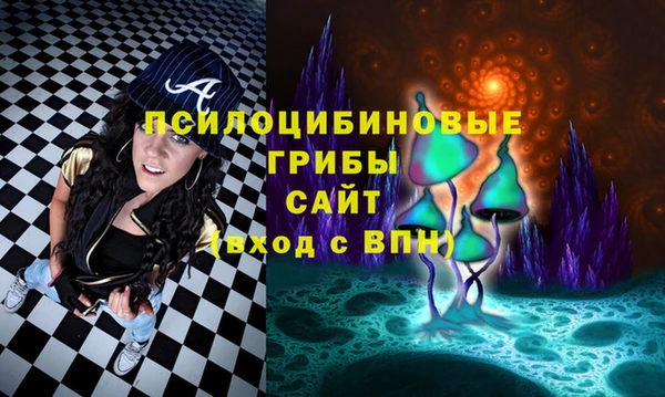 дурь Алексин